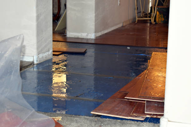 Professional Water Damage Restoration technician working in Kent, WA